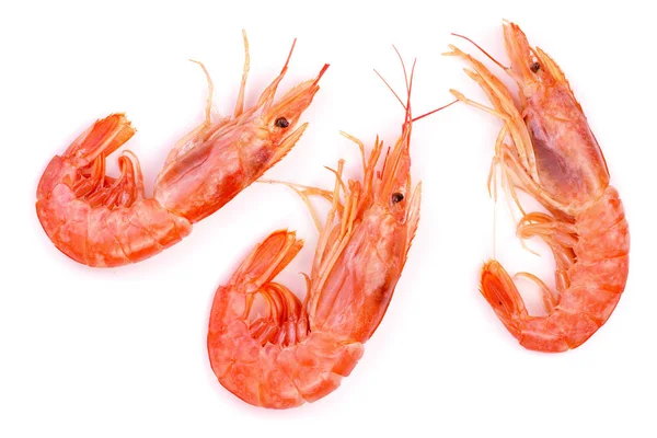 Red cooked prawn or shrimp isolated on white background. Top view — Stock Photo, Image