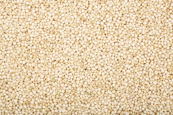 Sementes de quinoa branca como fundo. Vista superior — Fotografia de Stock