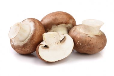 Royal Brown champignon with half isolated on white background clipart