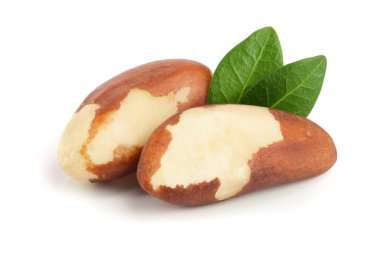 Beyaz arka plan closeup izole yaprakları ile Brezilya fıstığı. Tam alan derinliği