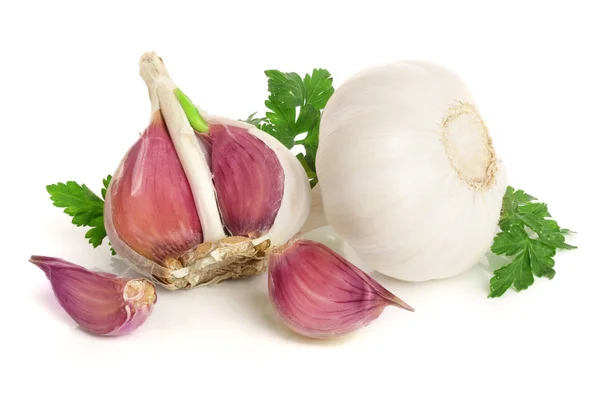 Knoblauch mit Petersilienblatt isoliert auf weißem Hintergrund — Stockfoto