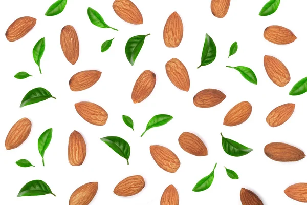 Almond dengan daun terisolasi pada latar belakang putih. Pola lay datar — Stok Foto