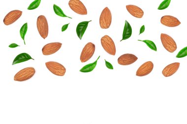 badem kopya alanı metniniz için beyaz zemin üzerine izole yaprakları ile dekore edilmiştir. Üstten Görünüm. Düz yatıyordu desen