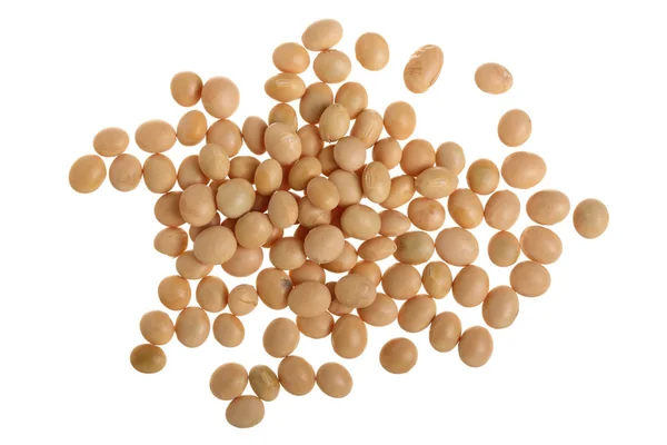 흰색 배경 평면도에 고립 된 콩 — 스톡 사진