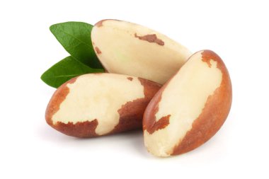 Beyaz arka plan closeup izole yaprakları ile Brezilya fıstığı. Tam alan derinliği