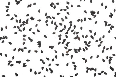 Beyaz arka plan üzerinde üstten görünüm izole siyah susam