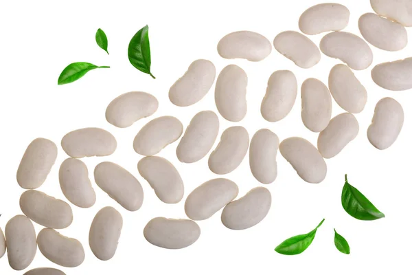 白色的芸豆, 在白色的背景上被隔绝的绿叶点缀着。顶部视图 — 图库照片