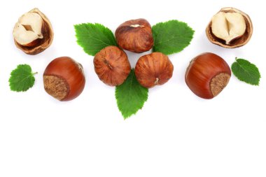 Beyaz arka plan üzerinde izole metin kopyalama yeri olan yaprakları ile fındık. Üstten Görünüm. Düz yatıyordu