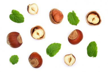 Beyaz arka plan üzerinde izole yaprakları ile fındık. Üstten Görünüm. Düz yatıyordu