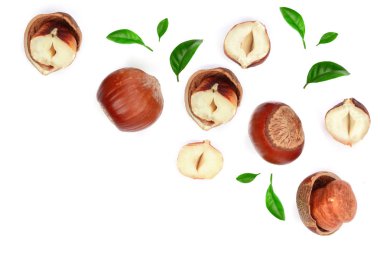 Beyaz arka plan üzerinde izole metin kopyalama yeri olan yaprakları ile fındık. Üstten Görünüm. Düz yatıyordu