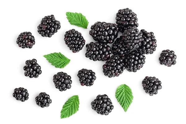 Verse blackberry met verlaat geïsoleerd op witte achtergrond. Bovenaanzicht. Plat lag patroon — Stockfoto