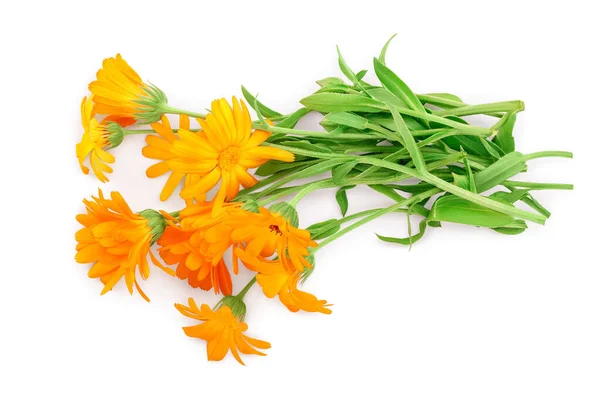 Strauß orange Ringelblumen isoliert auf weißem Hintergrund . — Stockfoto