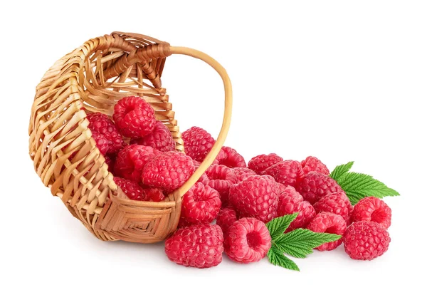 Reife Himbeeren mit Blatt in einem Weidenkorb isoliert auf weißem Hintergrund — Stockfoto