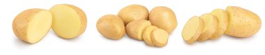 Genç patates beyaz arka planda izole edilmiş. Yeni hasat. Ayarla ya da topla