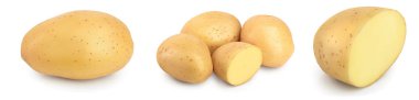Genç patates beyaz arka planda izole edilmiş. Yeni hasat. Ayarla ya da topla