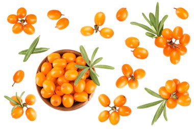 Dikenli deniz. Tahta kasede yaprakları olan taze meyveler beyaz arka planda izole edilmiş. Üst Manzara. Düz uzanma deseni