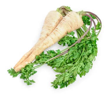 Beyaz arkaplanda yapraklı maydanoz kökü