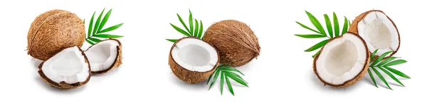Noix de coco avec des feuilles isolées sur fond blanc. Set ou collection — Photo