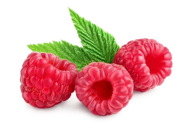 Reife Himbeeren mit Blatt isoliert auf weißem Hintergrund — Stockfoto