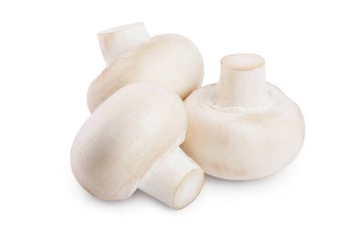 Beyaz arkaplanda kırpma yolu ile izole taze mantar şampiyonu