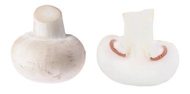 Taze mantar şampiyonunun yarısı kırpma yolu ile beyaz zemin üzerinde izole