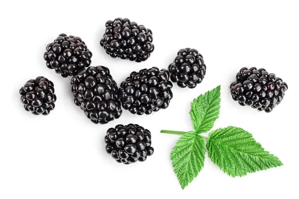 Fresh blackberry with leaves isolated on white background. Top view. Flat lay pattern — Stock Photo, Image