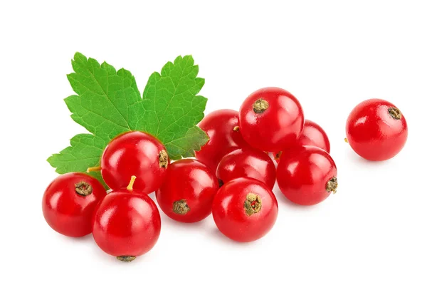 Merah currant berry dengan daun terisolasi pada latar belakang putih — Stok Foto