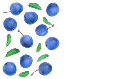 Blackthorn veya Sloe meyveleri beyaz arka planda izole edilmiş ve metin için kopyalama alanı var. Üst Manzara. Düz yatıyordu
