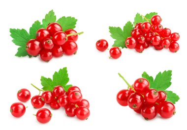 Red currant berries with leaf isolated on white background. Set or collection clipart