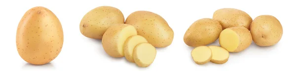 Jonge aardappel geïsoleerd op witte achtergrond. Oogst nieuw. Set of verzameling — Stockfoto