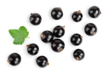 yaprak beyaz arka plan üzerinde izole siyah frenk üzümü. Üstten görünüm. Düz yatıyordu desen