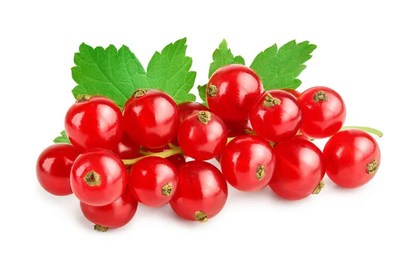 Merah currant berry dengan daun terisolasi pada latar belakang putih — Stok Foto