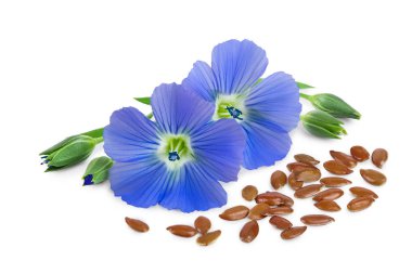 Beyaz arkaplandaki çiçekli keten tohumları