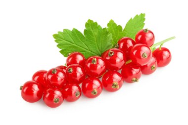 Beyaz arka planda yapraklı kırmızı frenk üzümü.