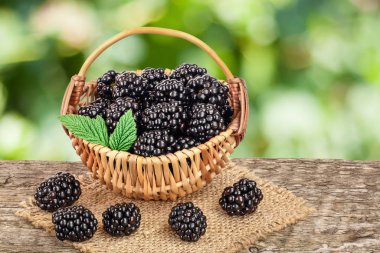 Hasır sepetin içinde böğürtlen, bulanık bahçeli eski ahşap masanın üzerinde.