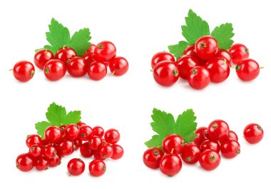 Beyaz arka planda yapraklı kırmızı frenk üzümü. Ayarla ya da topla