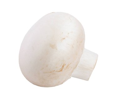 Beyaz arkaplanda kırpma yolu ile izole taze mantar şampiyonu