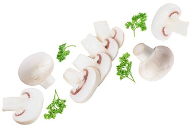 Beyaz arka planda izole edilmiş taze mantarlar ve dilimler. Metnin için kopyalama alanı var. Üst Manzara. Düz yatıyordu.