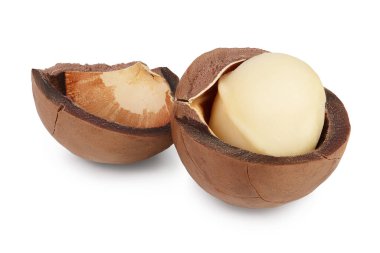 Macadamia cevizi kırpma yolu ve tam alan derinliği ile beyaz arkaplanda izole edildi