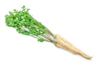 Beyaz arkaplanda yapraklı maydanoz kökü