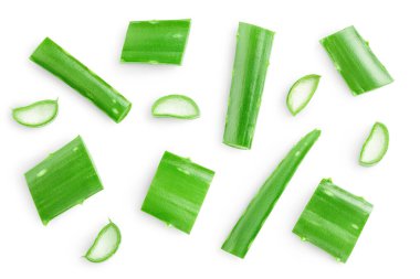 Aloe Vera beyaz arka planda izole edilmiş. Üst Manzara. Düz yatıyordu.