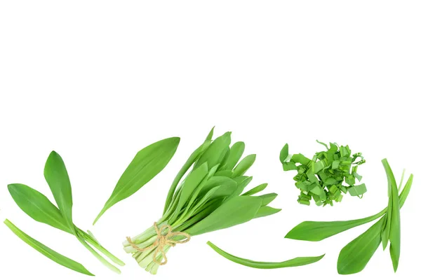 Ramson leaves isolated on white background with clipping path and full depth of field, Top view with copy space for your text. Flat lay — Stock Photo, Image