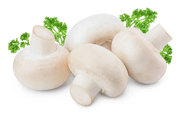 Čerstvé houby champignon izolované na bílém pozadí s výstřižkem cesta — Stock fotografie