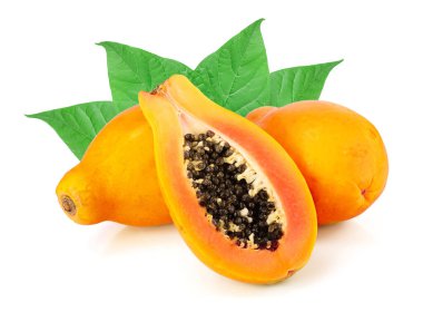 Olgun kesilmiş papaya yaprakları beyaz arkaplanda izole edilmiş.