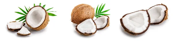 Kokosnuss mit Blättern auf weißem Hintergrund. Set oder Kollektion — Stockfoto