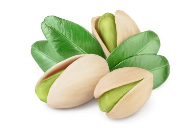 Kesme yolu ve tam derinlikte alan ile beyaz zemin üzerinde yaprakları izole şam fıstığı