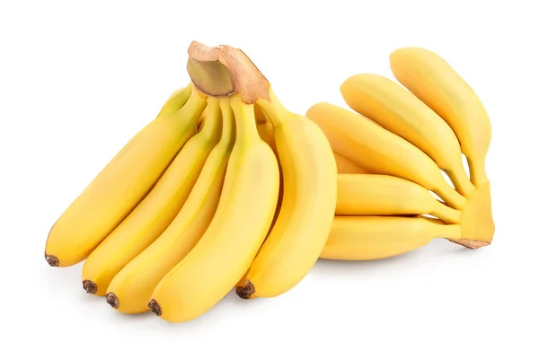 Baby banana bunch isolated on white background with clipping path and full depth of field — Stock Photo, Image