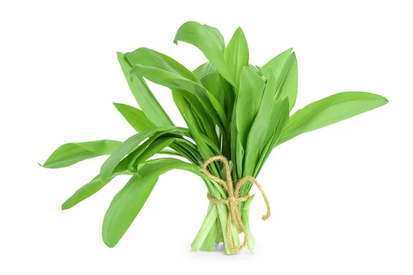 stock image Ramson bunch vegetable isolated on white background with clipping path and full depth of field