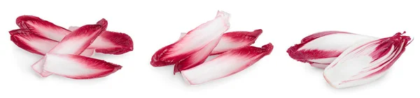 Cicoria rossa o radicchio isolato su fondo bianco, Set o raccolta — Foto Stock