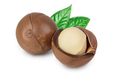 Macadamia fındıkları kırpma yolu ve tam derinlik ile beyaz arkaplanda izole edilmiş.